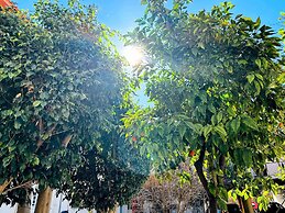 Matina Room At The Heart Of Old Town 1bd, Sleeps 4