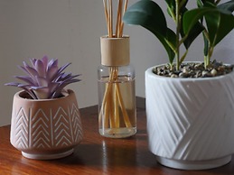 Hotel Mandacaru Puerto Viejo