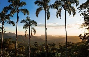 Aldea Sabatinga