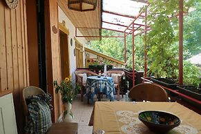 Müllers Ferienhaus Waldhof