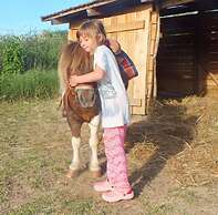 Müllers Ferienhaus Waldhof