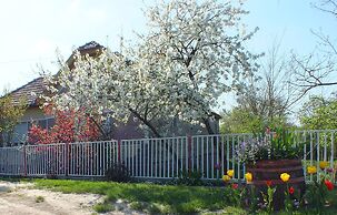 Müllers Ferienhaus Waldhof