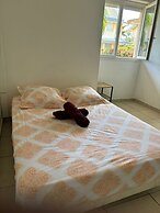 Hostel Toucan
