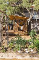 The Macaw Yurt at Camposanto ATX Glamping on Lake Travis