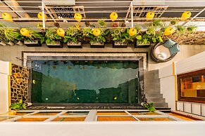 Iris De Villa Hoi An