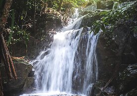 Hilltop Wellness Resort