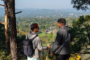 Tree of Life Birdsong Chalets