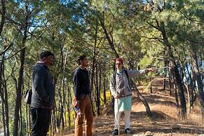 Tree of Life Birdsong Chalets