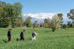 Tree of Life Birdsong Chalets