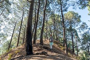Tree of Life Birdsong Chalets