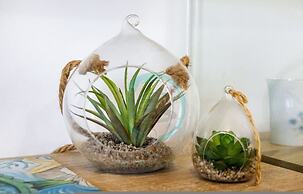 Nightcliff Foreshore Pool Outdoor Dining BBQ