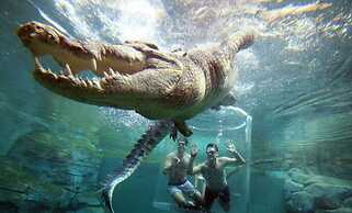 ZEN Paradise - 2-br Waterfront Ocean View Retreat