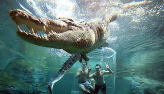 Coastal Splendor Seaview Pool Balcony Dining