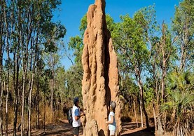 Coastal Magnificence Pool Workspace Parking