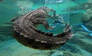 Luxury Marina Mansion Pool Gym BBQ Office