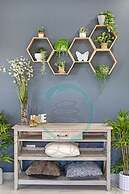 Zenhouse Prestige Modern Stylish Private Lawn