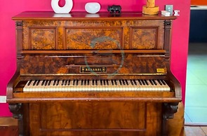 Zenhouse Bali Pool Garden Massive Grounds