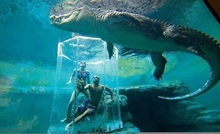 Peninsula Bliss Sea View Private Balcony Dining