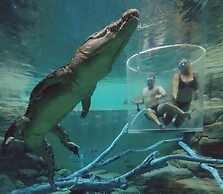 ZEN Central CBD - Affordable 3-bdrm Apt in the Heart of Darwin City