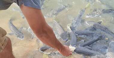 Zen Ocean Charm 3BR Luxury W Front Apt Pool BBQ