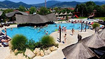 CASTEL TRANSILVANIA