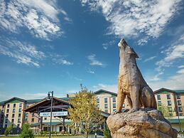 Great Wolf Lodge Perryville