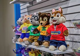 Great Wolf Lodge Perryville