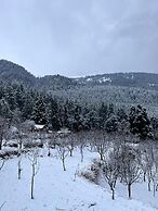 Zevibes Cafe & Homestay