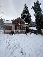 Zevibes Cafe & Homestay