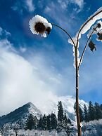 Zevibes Cafe & Homestay