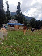 Zevibes Cafe & Homestay