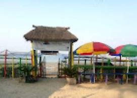 Holud Pakhi