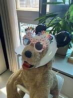 Daegu Dongseongro Star B&B Business Hotel