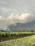 Chubini winery & cabins