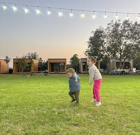 Chubini winery & cabins