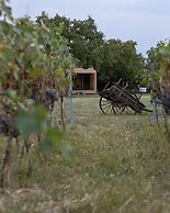 Chubini winery & cabins