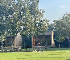 Chubini winery & cabins