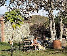 Chubini winery & cabins
