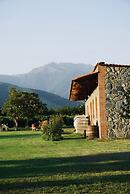 Chubini winery & cabins