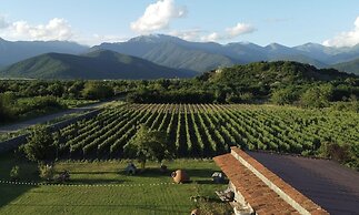 Chubini winery & cabins