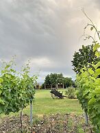 Chubini winery & cabins