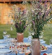 Chubini winery & cabins