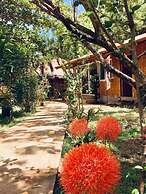 Toris Backpackers Paradise