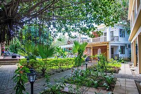 The Garden Lodge Pereybere - Piscine