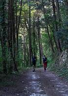 Dm-discover Margarites Home