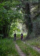 Dm-discover Margarites Home