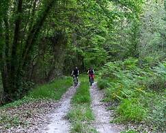 Dm-discover Margarites Home