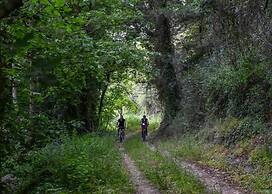 Dm-discover Margarites Home