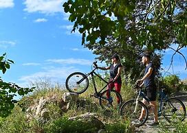 Dm-discover Margarites Home