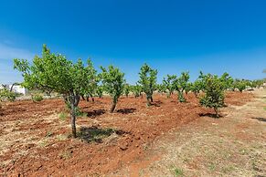 2942 Villa Cucunci by Barbarhouse